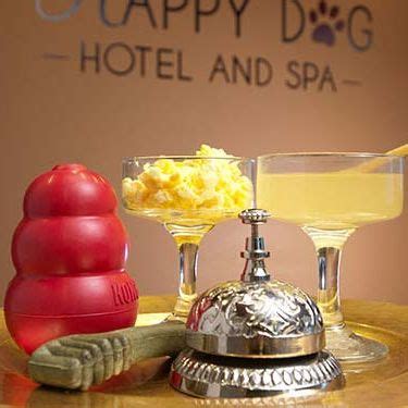 Happy Dog Hotel & Spa 